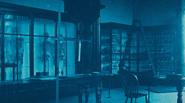 The Anthropometry Laboratory in TCD in 1891. The photograph shows display cases full of anthropological / anatomical 'specimens' with anthropometic instruments in the foreground.'The blue tone of the photographs derives from the cyanotype or blueprint process.