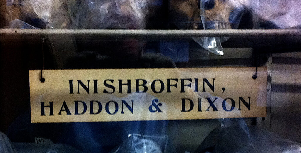 Photograph showing a sign that reads "Inishbofin, Haddon & Dixon." Visible in the background are a series of skull wrapped in plastic and stored on shelves in a glass-fronted cabinet, one of the display cases in the "Old " Anatomy Museum in Trinity College Dublin.